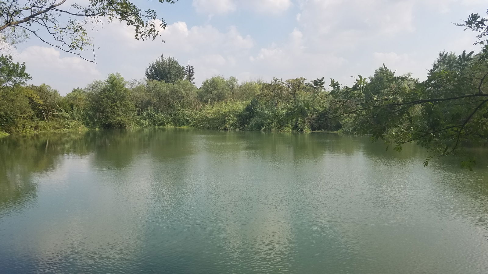 杭州西溪湿地 thumbnail