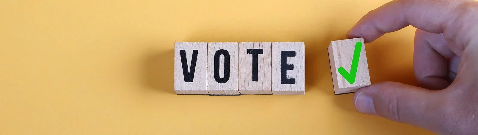 Why Vote? Voter Psychology thumbnail