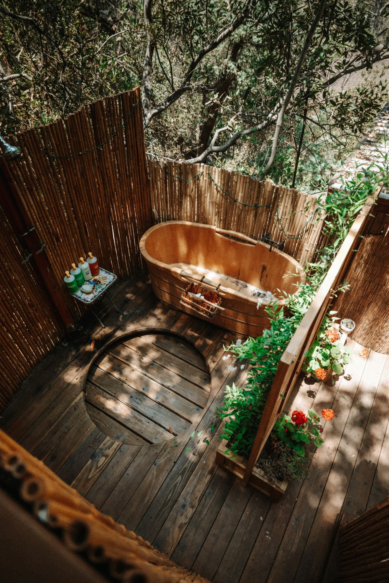 Room in boutique hotel in Albuquerque, New Mexico, United States thumbnail