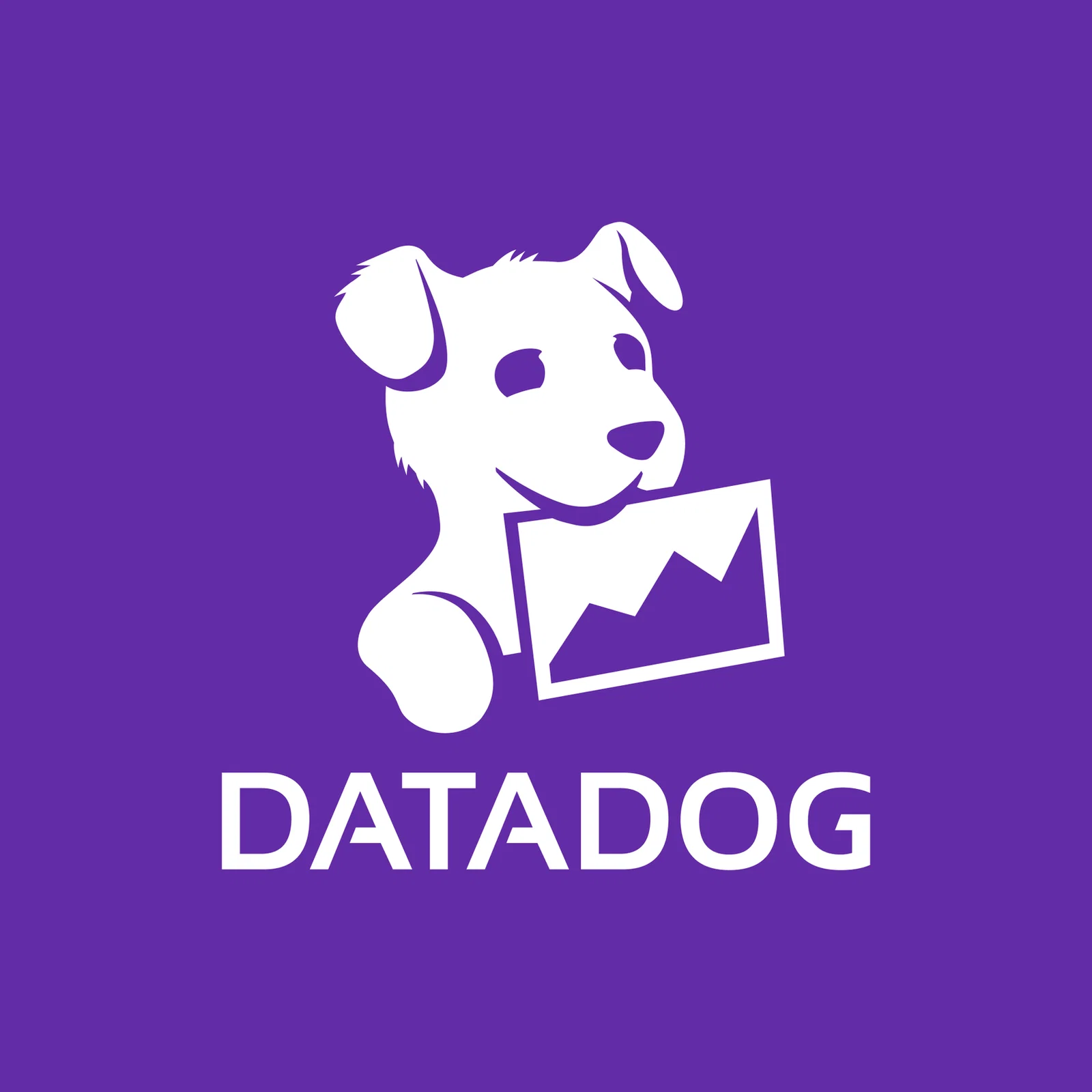 Datadog logo