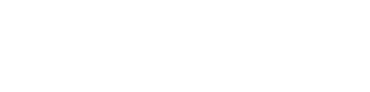 Whitespark logo