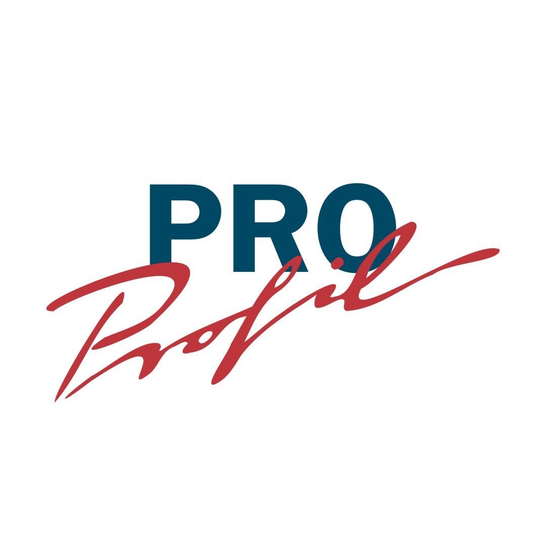 PRO Profil GmbH logo