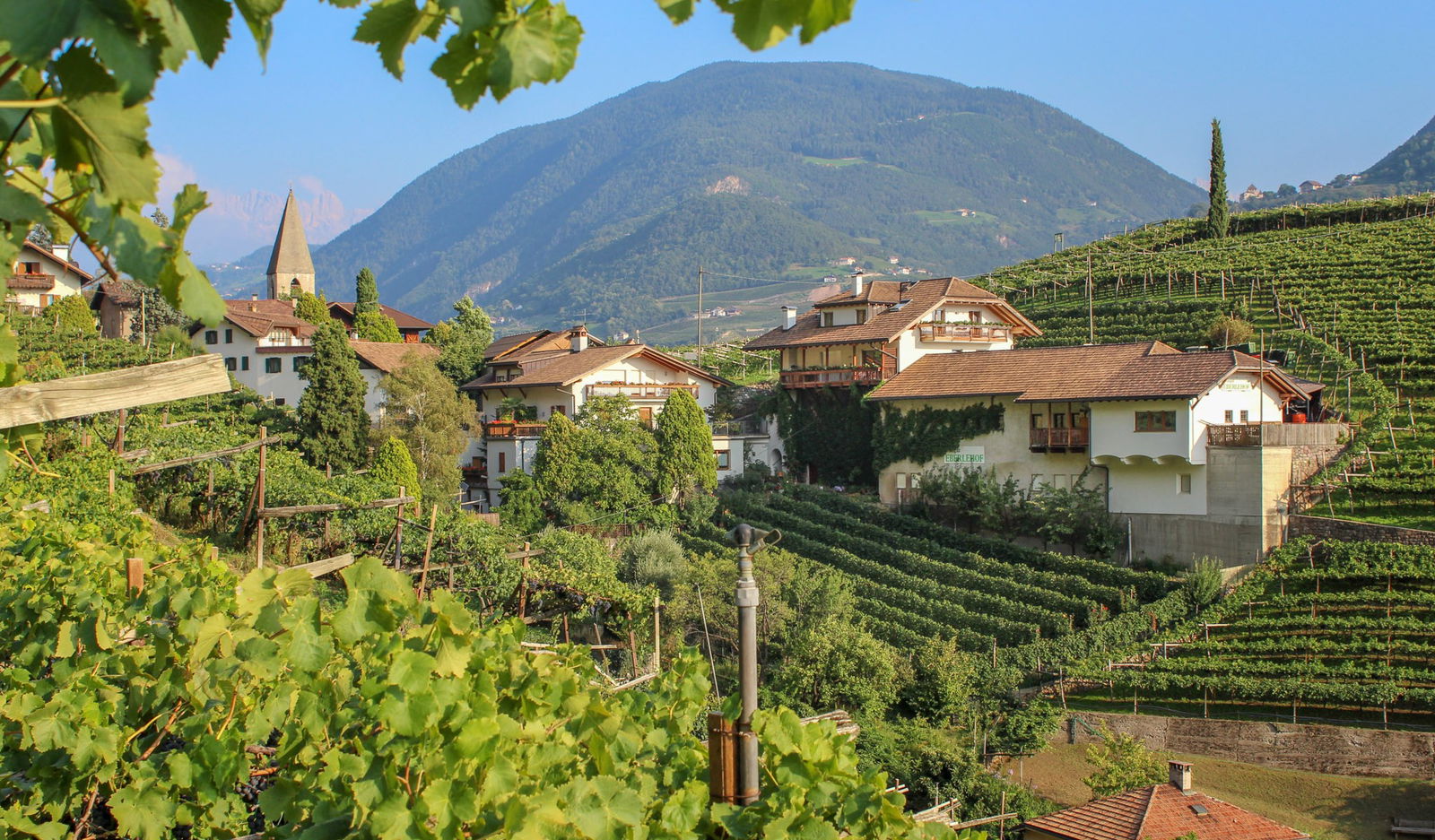 Eberlehof Winery thumbnail