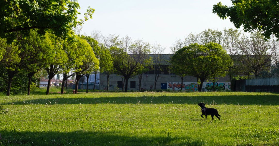 Sokol North Complex thumbnail