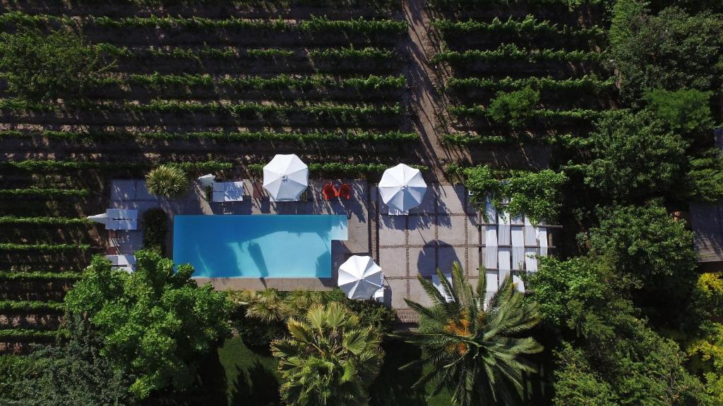 Finca Adalgisa thumbnail