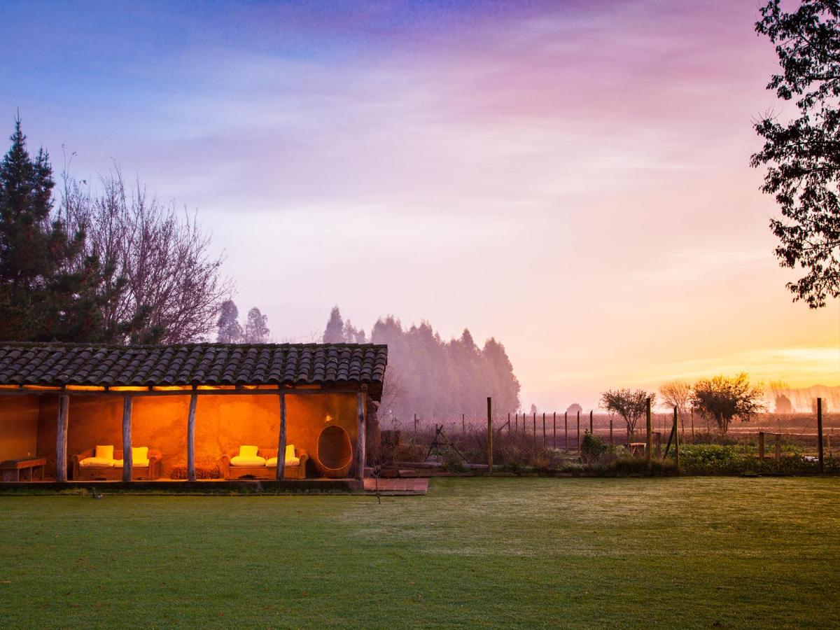 NOI Blend Colchagua thumbnail