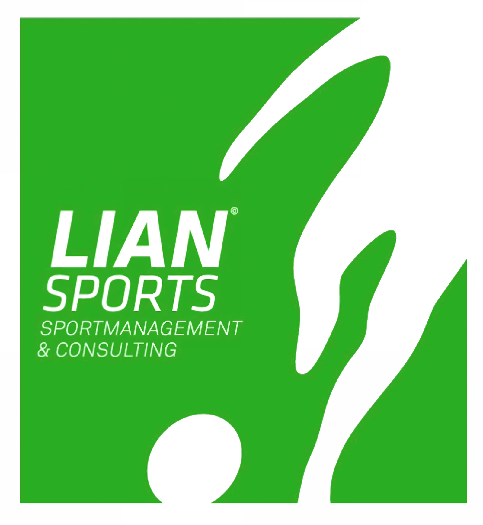 LIAN Sports & Partners logo
