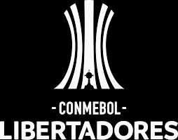 Copa Libertadores Final 2025 - Palmeiras vs Flamengo: When and where to watch logo