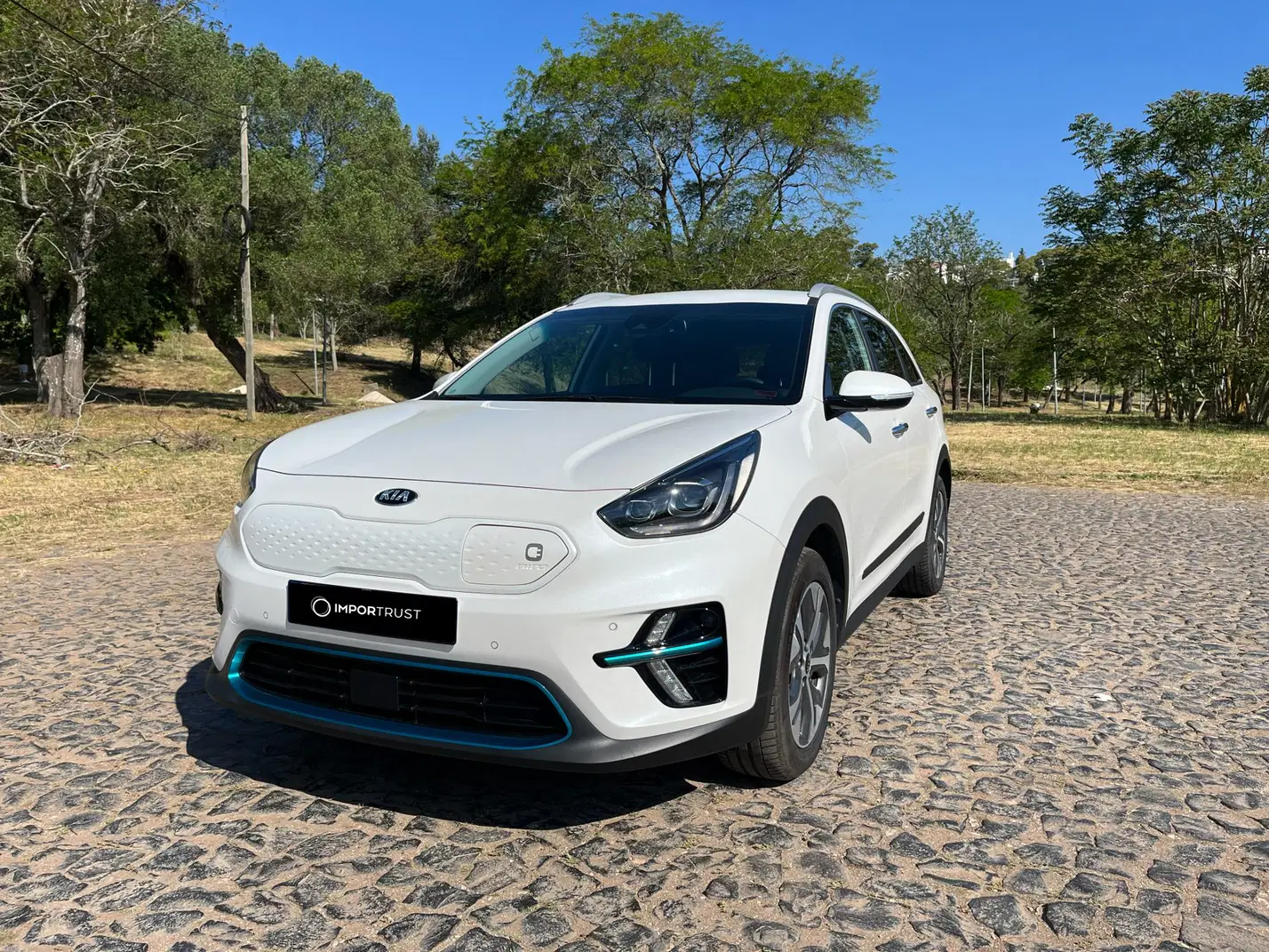 Kia e-Niro thumbnail