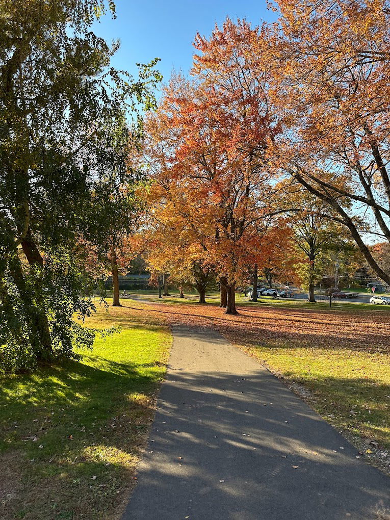 Fernridge Park and Pool thumbnail