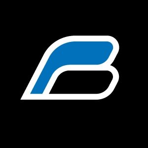Bartlett Hockey logo