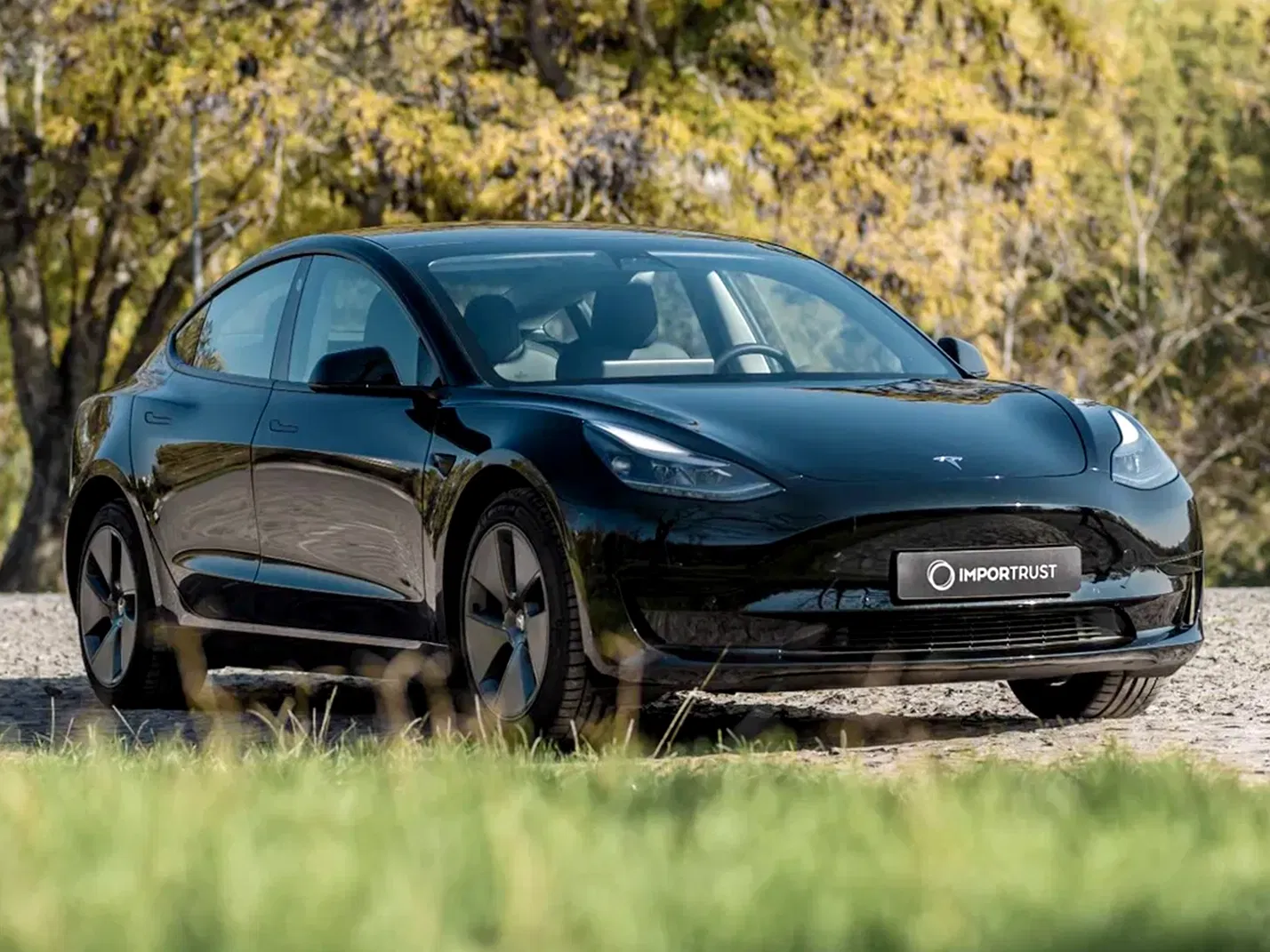 Tesla Model 3 thumbnail