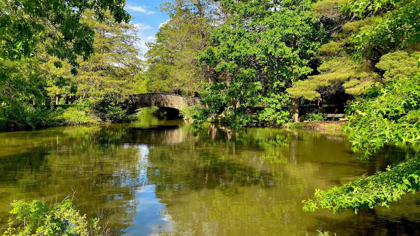 Friends of Elizabeth Park thumbnail