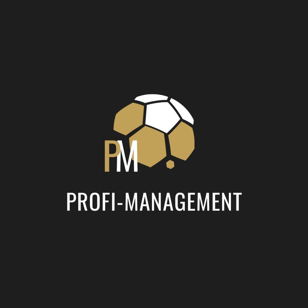 Profi-Management Agency logo