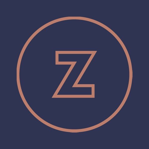 BN Zini Marketing & Management (VTN Image) logo