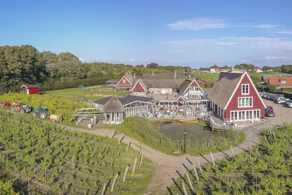 Arilds Vingård thumbnail