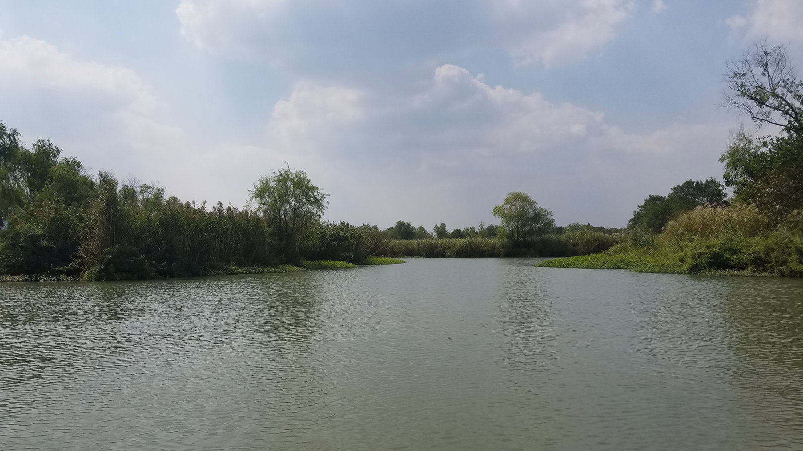 杭州西溪湿地 thumbnail