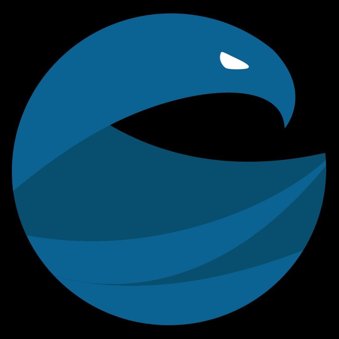 Eagle Eye Sports Management (Eagle Eye Football) logo