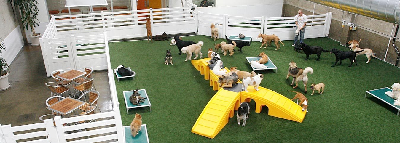LA Dogworks logo