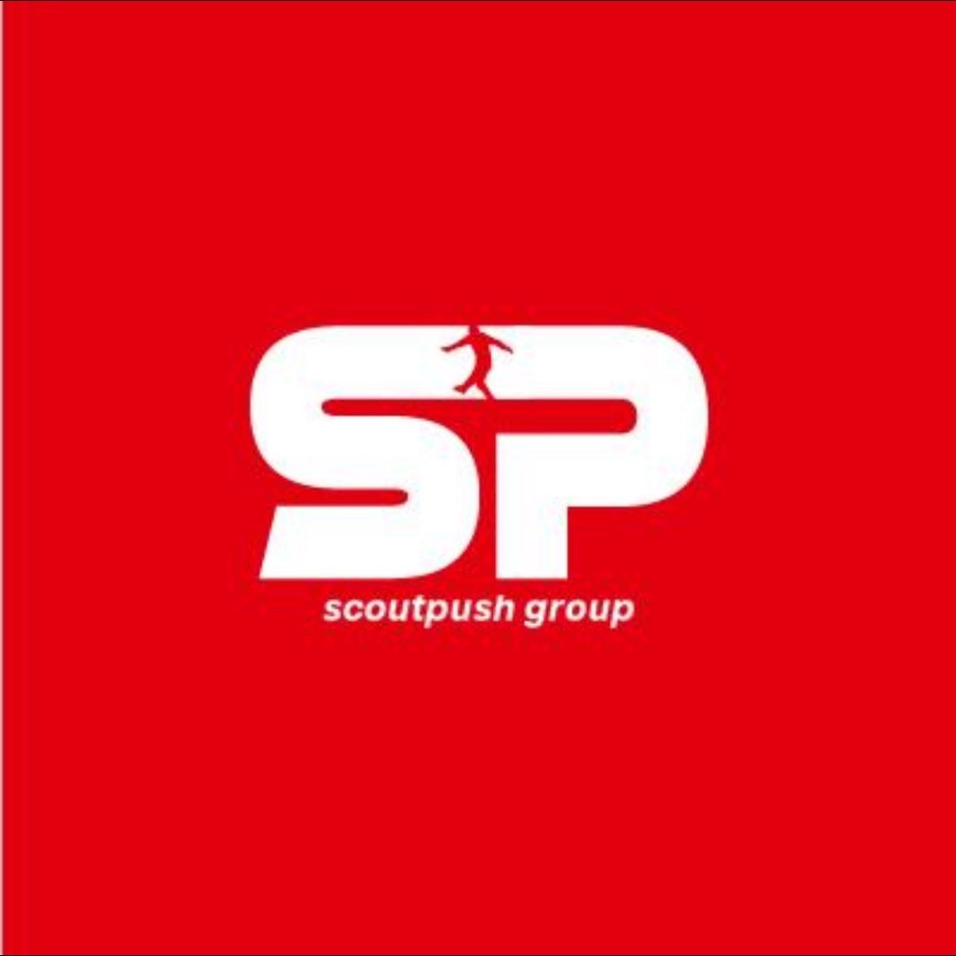 Scoutpush by Dudu Dahan logo