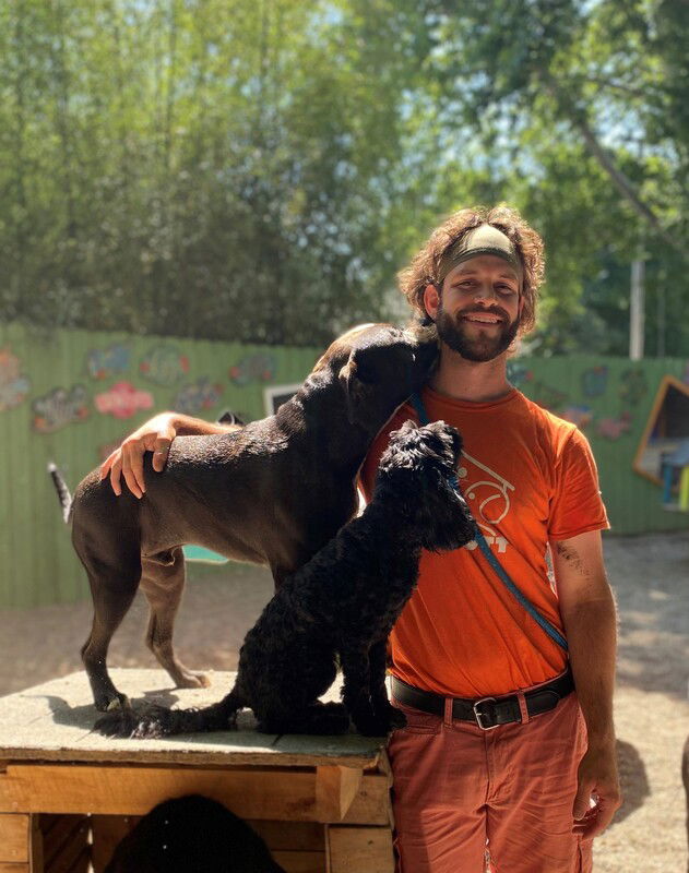 Bark Park at The Mutt Hutt thumbnail