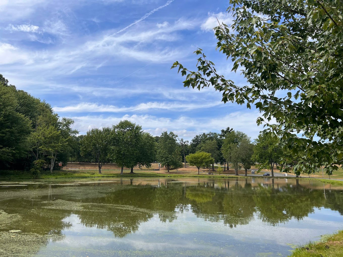 Beachland Park thumbnail