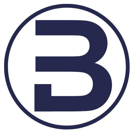 Balance International Group logo