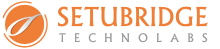 SetuBridge logo