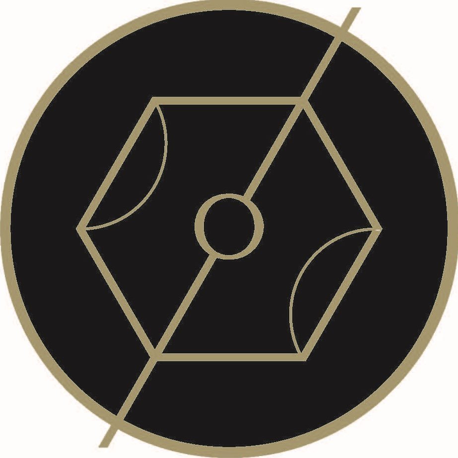 Hexagon Sport Agency logo
