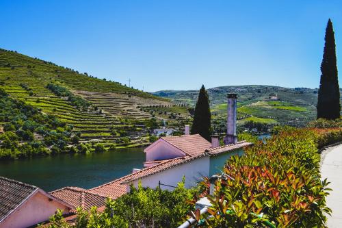 Quinta de la Rosa thumbnail