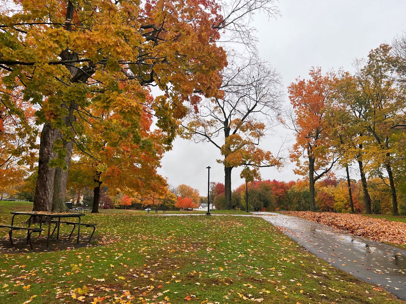 Wolcott Park thumbnail