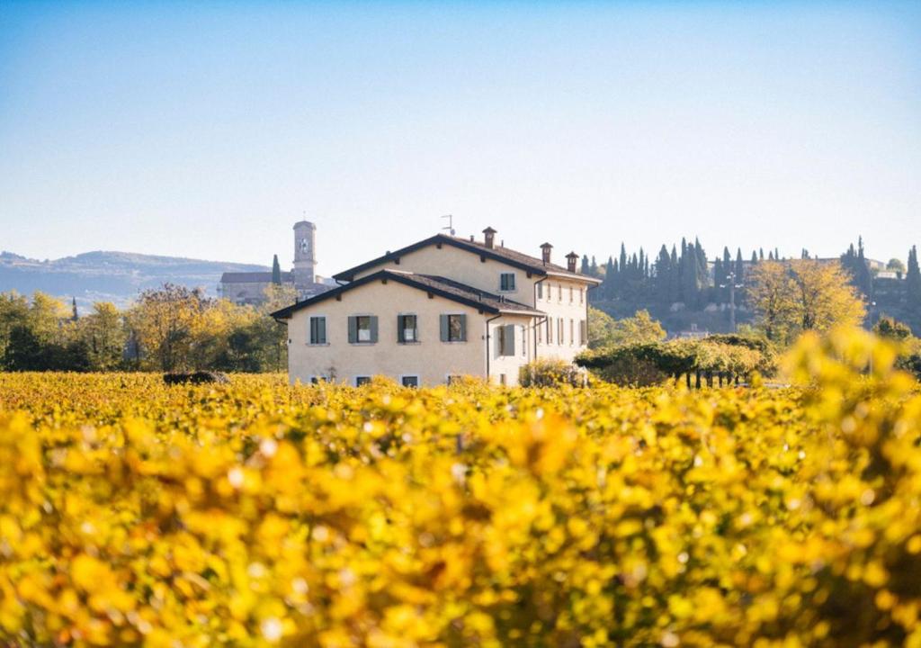 Dimora Buglioni Wine Relais thumbnail