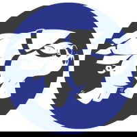 Rocket Farm Studios logo