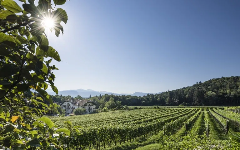 Stroblhof Winery thumbnail